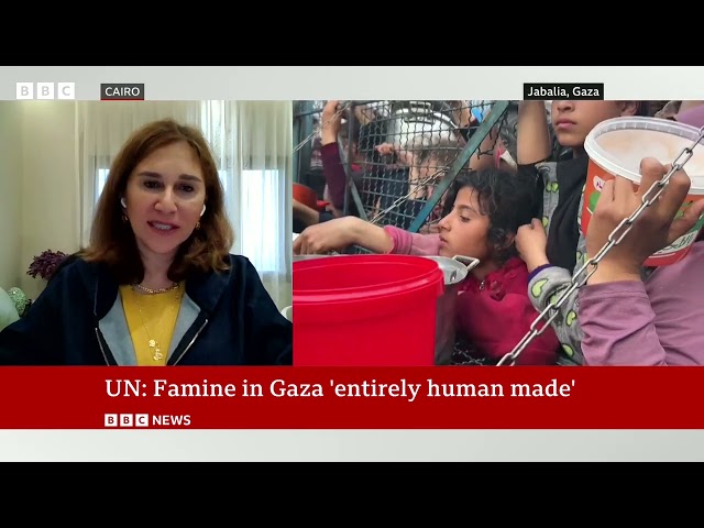 Gaza's entire population facing acute food insecurity, Blinken warns | BBC News