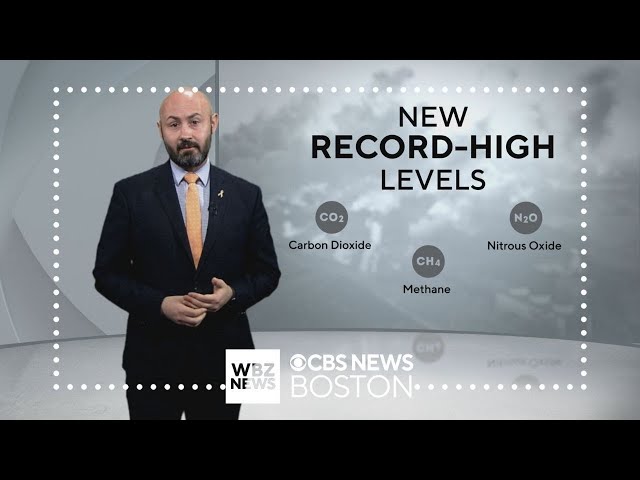 New report says 2023 was warmest on record