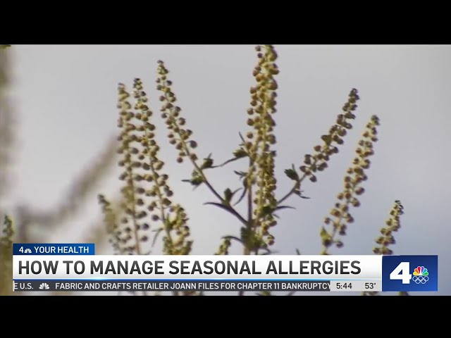 How to better manage spring allergies