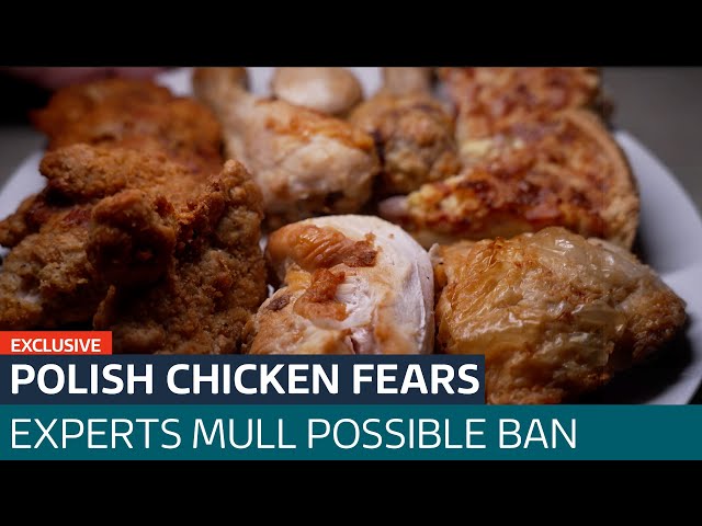 Polish chicken imports may be banned amid rise in salmonella cases | ITV News