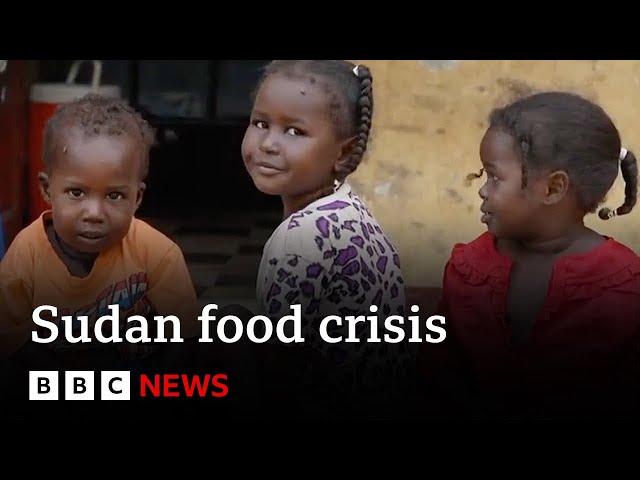 Millions face starvation in Sudan as warring factions block aid delivery | BBC News