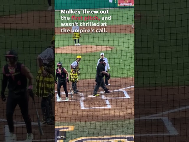 Kim Mulkey hilariously ejected from Savannah Bananas baseball game #Shorts