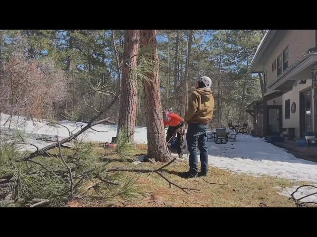 Douglas County residents are still dealing with broken branches and fallen trees after snowstorm