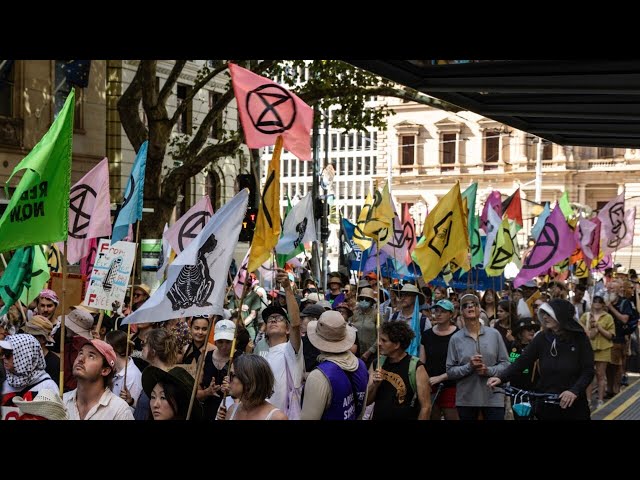 ‘My way or nothing’: Extinction Rebellion activists cause ‘havoc’ wherever they go