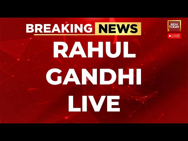 Rahul Gandhi LIVE: Rahul Gandhi Targets PM Modi Ahead Of 2024 Elections | Rahul Gandhi Speech LIVE