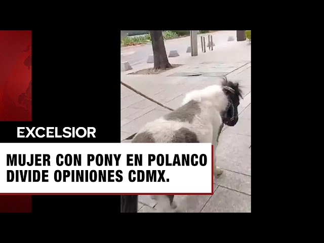 Mujer pasea a su pony por calles de Polanco CDMX y las opiniones se dividen