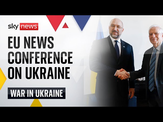 Ukraine Association Council news conference