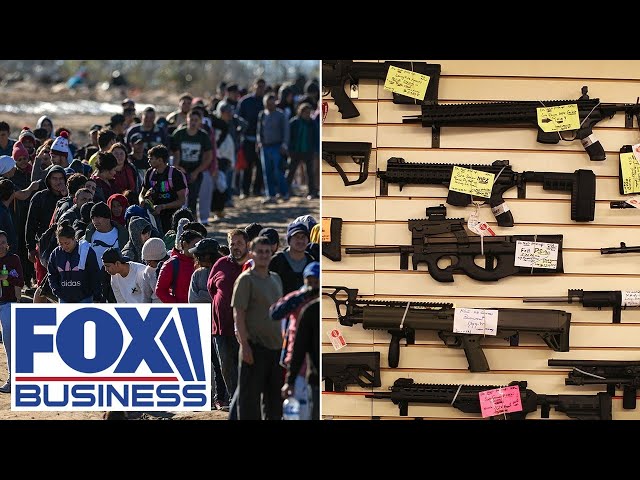 Obama-appointed judge rules illegal migrants can carry guns legally