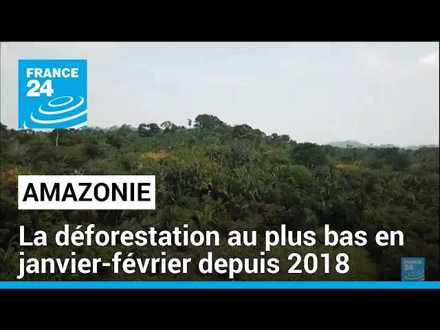 Brésil : la déforestation en Amazonie au plus bas en janvier-février depuis 2018 • FRANCE 24