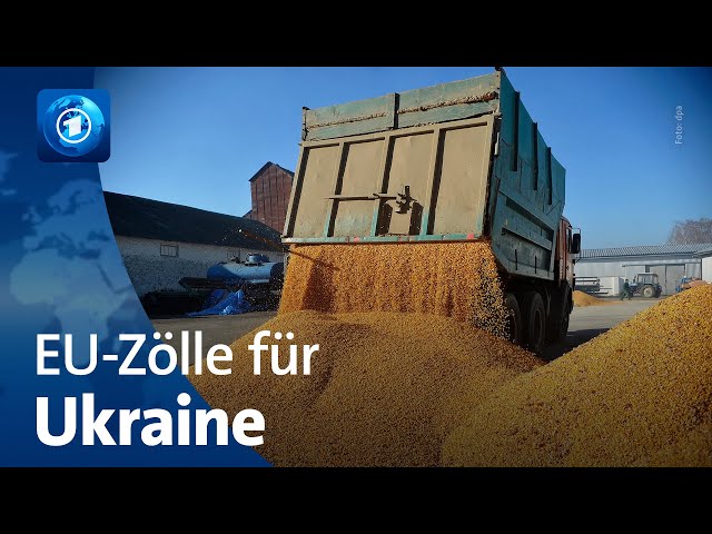 ⁣EU will wieder Zölle für ukrainische Agrarprodukte