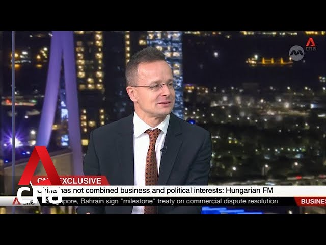 China has not combined business and political interests: Hungarian foreign minister