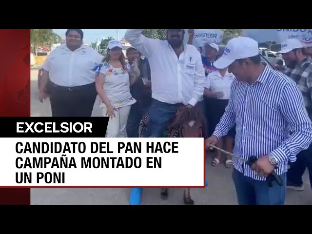 Candidato panista en Yucatán monta poni y es acusado de maltrato animal