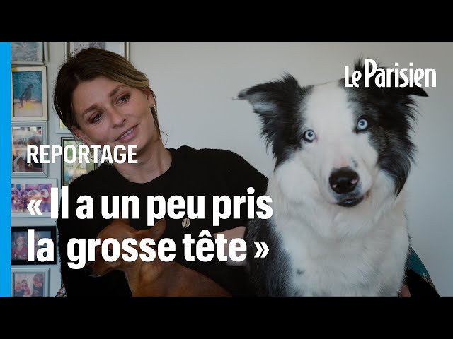 Laura revient sur l'incroyable succès de son chien Messi