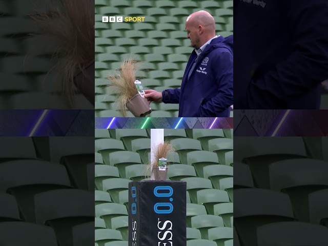 Gregor Townsend had no clue what was going on here 