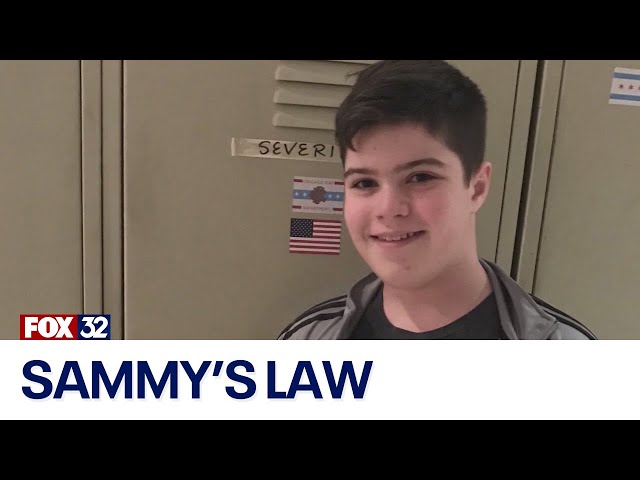 'Sammy's Law': Fight for social media safety measures in Illinois