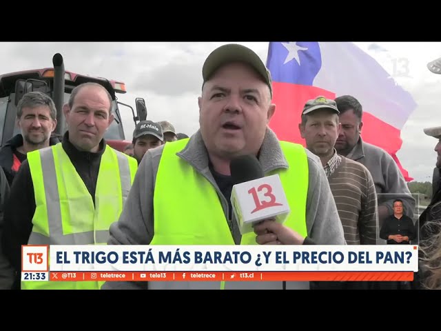 El trigo está más barato, ¿y el precio del pan?