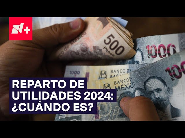 Reparto de utilidades 2024 en México: ¿Cuándo es y cuánto te toca? - N+