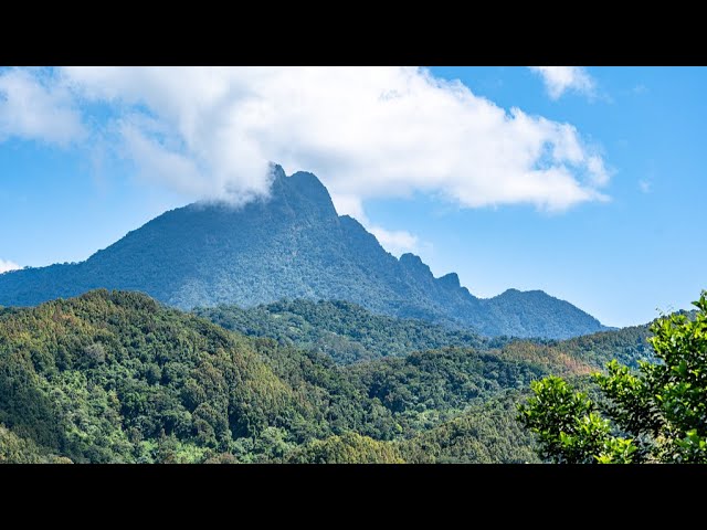 Live: The scenery of Wuzhi Mountain, the highest mountain in Hainan Province