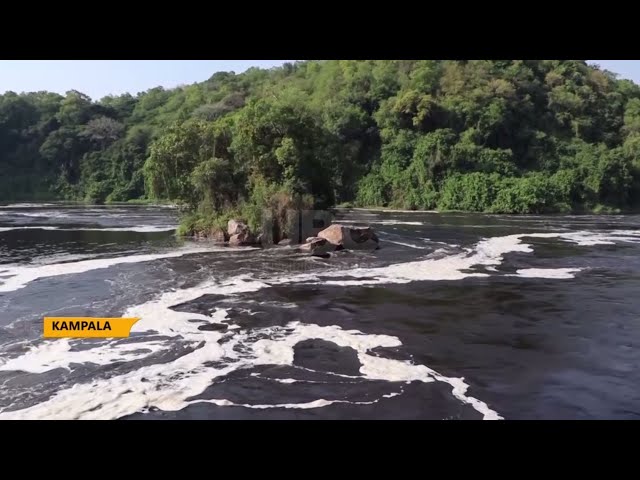 Mitigating changing climate patterns - CSOs call on Ugandans to embrace tree planting