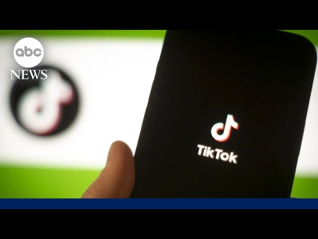 New warning about TikTok: 'A gun aimed at Americans' heads'