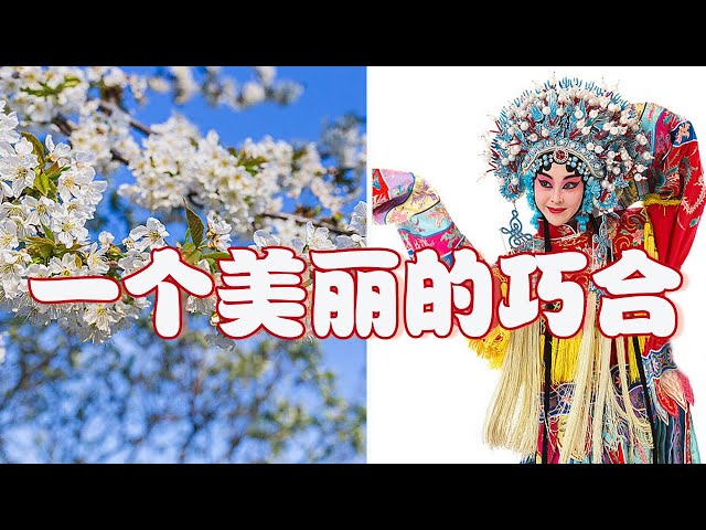 春天千亩梨花盛开是什么景象？“梨园”代指戏曲竟源于中国古代一个美丽的巧合？