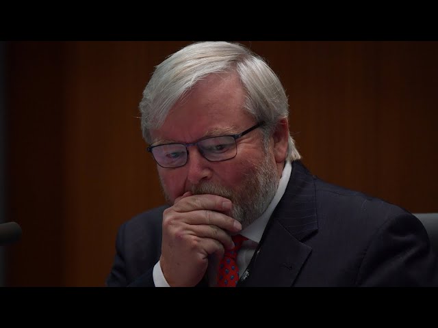 Kevin Rudd should ‘graciously step down’ over Trump comments