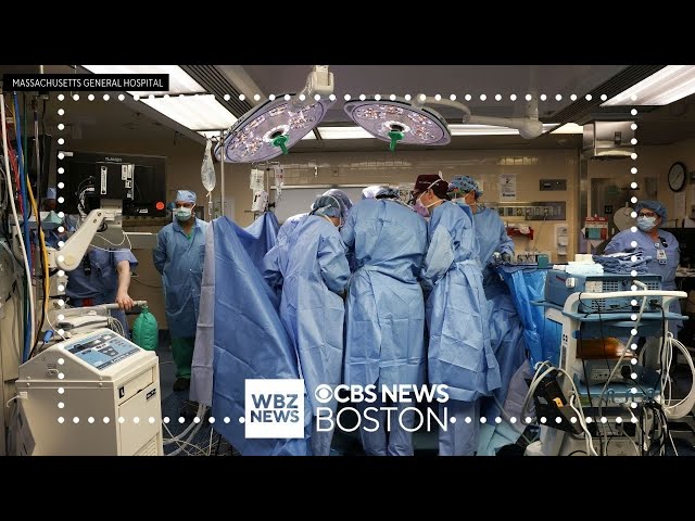 Mass General surgeons transplant pig kidney into patient in groundbreaking procedure