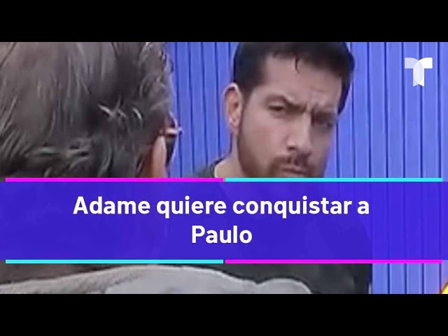 La Casa de los Famosos 4  | Adame también se lanza a la conquista de Paulo