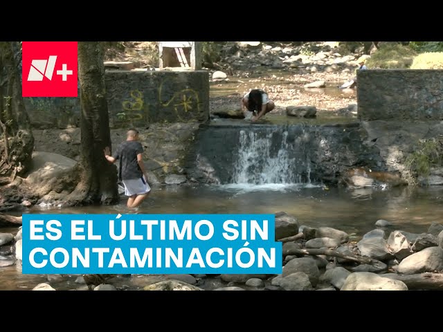 El Río Boscoso del parque La Cañada, en riesgo por asentamientos irregulares - N+