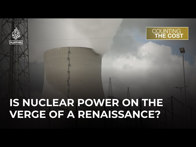 Is nuclear power on the verge of a revival? | Counting the Cost