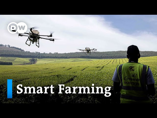 ⁣Wie digitale Technik die Landwirtschaft nachhaltiger und ergiebiger machen kann | DW News