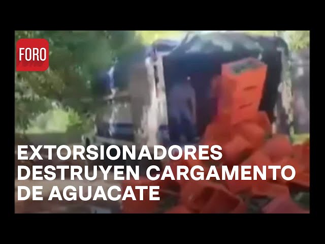 Delincuentes destruyen cargamento de aguacate en Uruapan, Michoacán - Noticias Mx