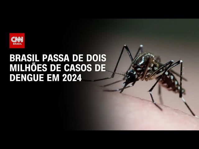 Brasil passa de dois milhões de casos de dengue em 2024 | CNN PRIME TIME