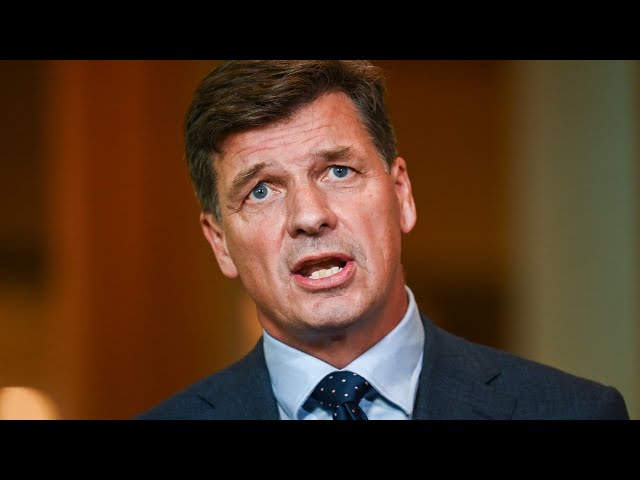 ‘Just not sustainable’: Angus Taylor calls for ‘common sense’ on immigration