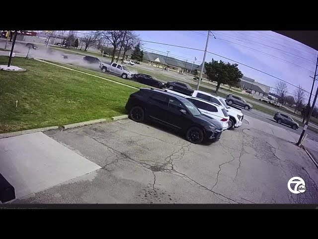 VIDEO: Warren road rage incident leaves multiple vehicles hit, two arrested