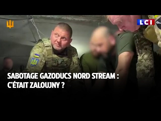 Sabotage gazoducs Nord Stream : c'était Zaloujny ?