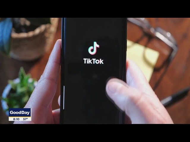 Bill to ban TikTok sees rare bipartisan support