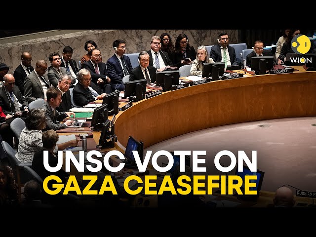 UNSC LIVE: UN Security Council meets to consider new draft resolution on Gaza | WION LIVE