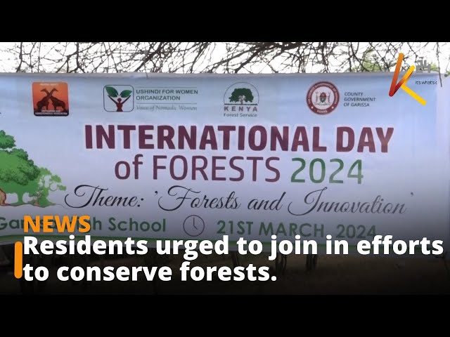 ⁣Residents of Garissa have been urged to join the government's efforts in conserving forests.