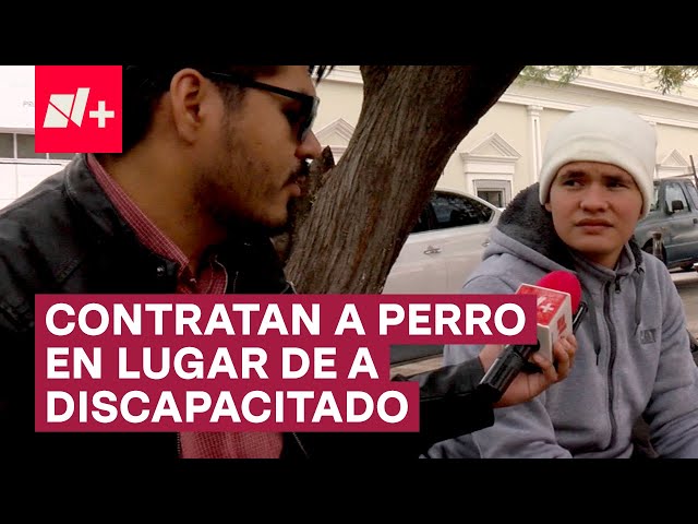 Joven cuenta lo difícil que es encontrar trabajo para personas con discapacidad - N+