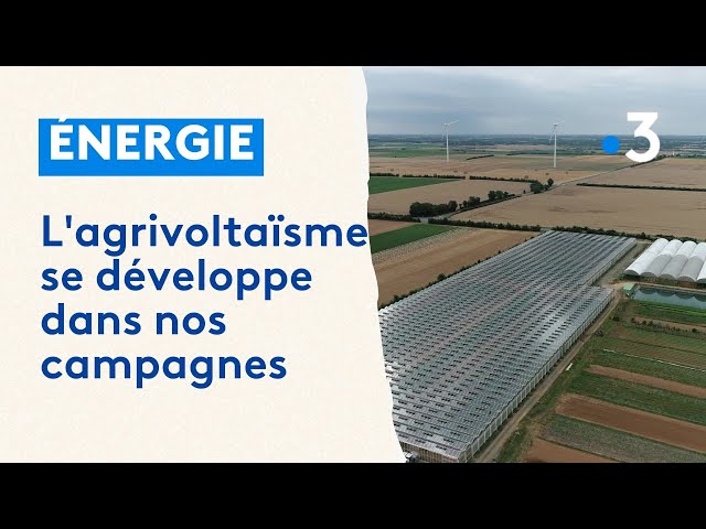⁣Agrivoltaïsme : l’énergie solaire au service des agriculteurs