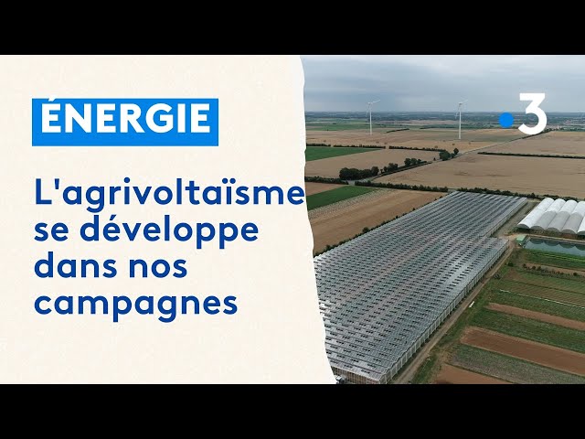 Agrivoltaïsme : l’énergie solaire au service des agriculteurs