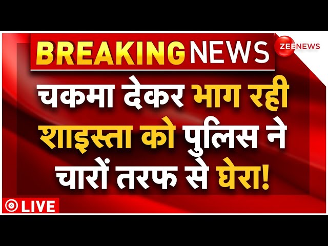 Shaista Parveen Arrest LIVE Updates : भाग रही शाइस्ता को यूपी पुलिस ने घेरा? | Breaking | Atiq