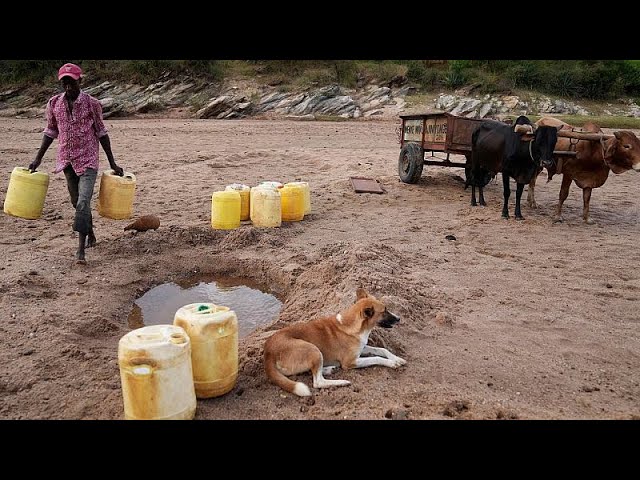 Día Mundial del Agua: Historias estremecedoras de primera línea de la crisis mundial del agua