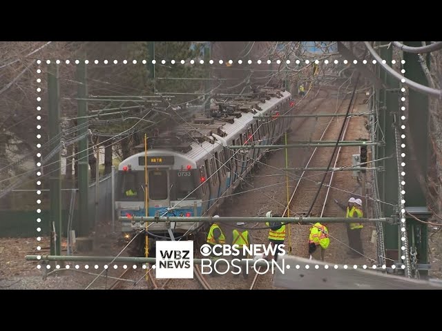 Power problem forces Blue Line riders to walk tracks