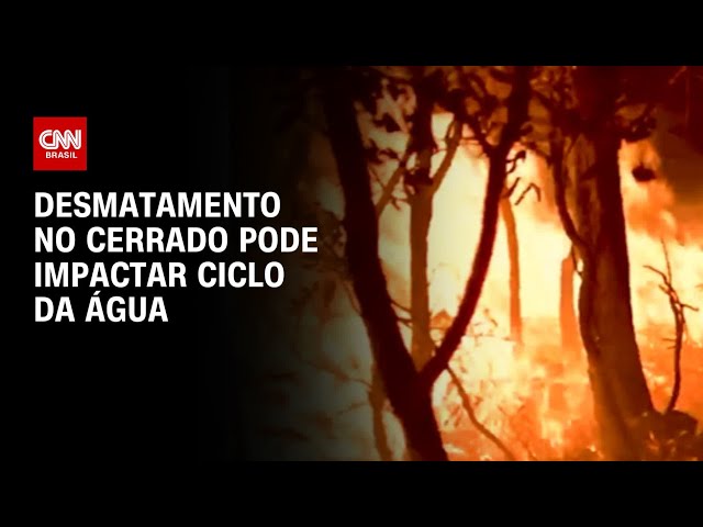 Desmatamento no Cerrado pode impactar ciclo da água | CNN PRIME TIME