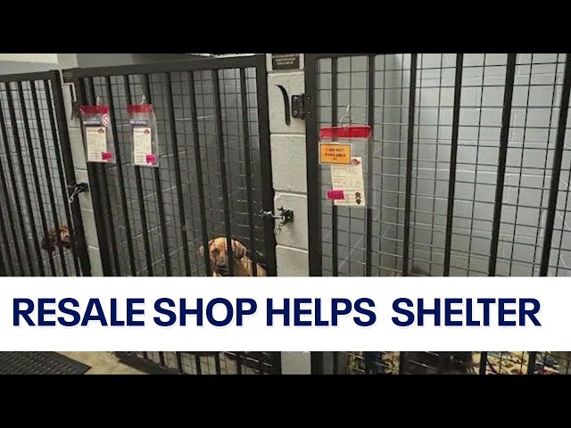 New resale shop will benefit Plainfield animal rescue