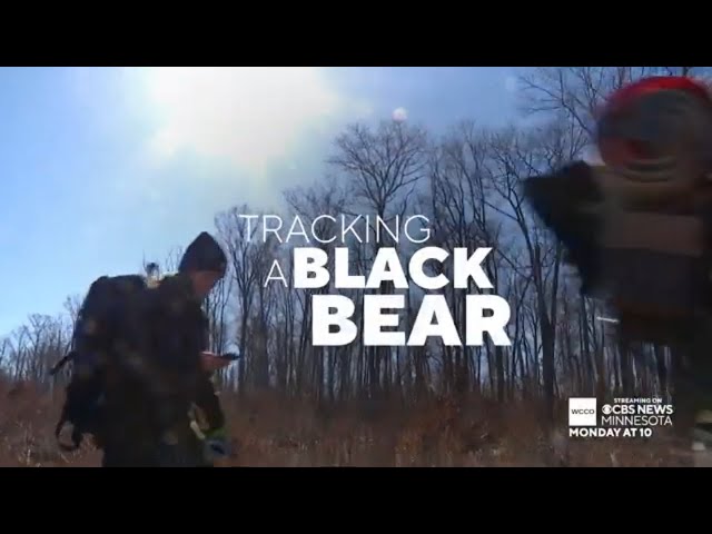 TRAILER | Bear Den Visit | Premieres Monday, March 25, 2024 at 10:00 p.m. CST