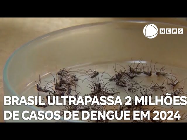 Brasil ultrapassa 2 milhões de casos de dengue em 2024