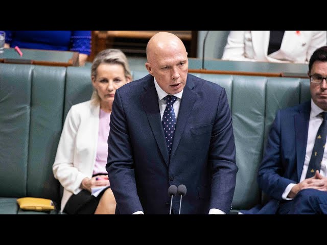 Peter Dutton ‘doing well’ in nuclear debate: Peter McGauran